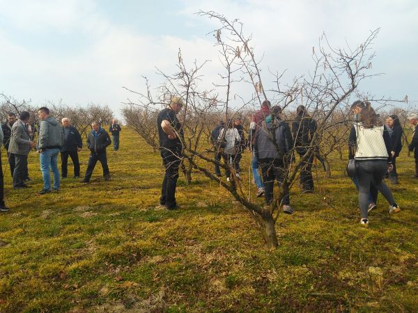 Stručna predavanja i pokazna rezidba lijeske, Daruvar, 1. ožujka 2019