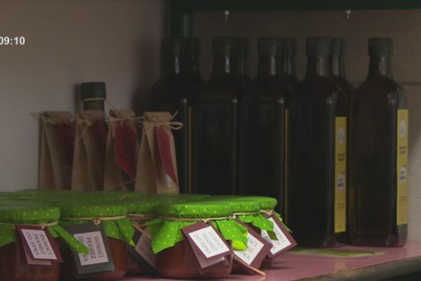 Prilog iz “Dobro jutro, Hrvatska”