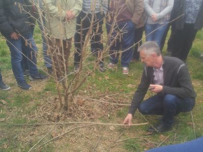 Stručna predavanja i pokazna rezidba lijeske, Daruvar, 1. ožujka 2019