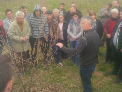 Stručna predavanja i pokazna rezidba lijeske, Daruvar, 1. ožujka 2019