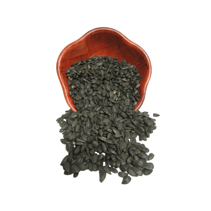 Black sunflower Price Discount
