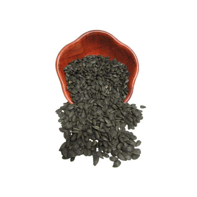 Schwarze Ölsonnenblume 25kg Preis
